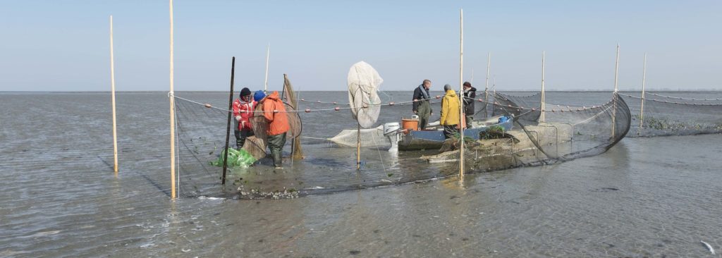 living the coastal life onderzoek van de waddenkust